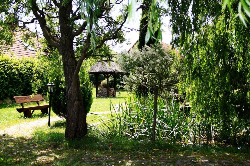 Ferienhaus Zur Schmiede 고렌레빈 외부 사진